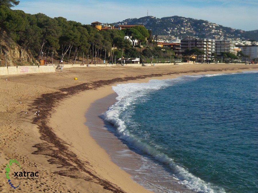 Estudi de la qualitat integrada de les platges del litoral català.
