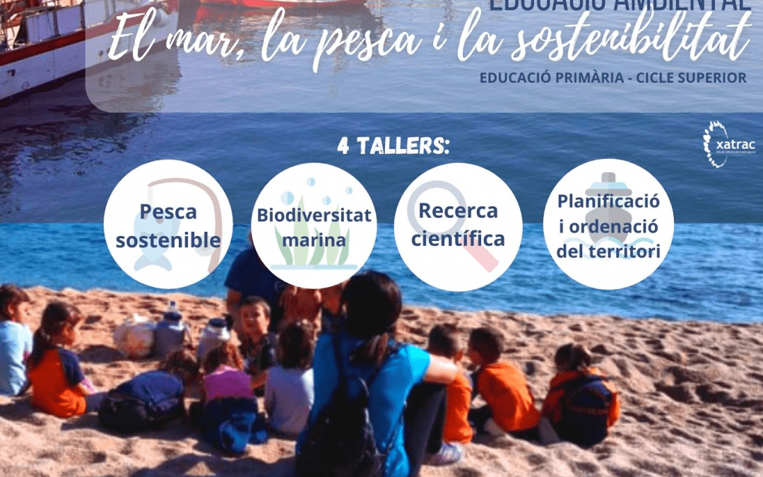 Activitat escolar: El mar, la pesca i la sostenibilitat